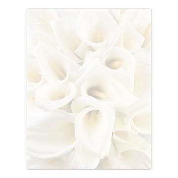 Great Papers! White Calla Lilies Letterhead, 80 Count, 8.5"x11" (2014286)