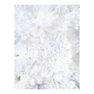 Great Papers! White Soft Petals Letterhead Stationery, 8.5" x 11", 80 count, Inkjet and Laser Printer Compatible (2020144)