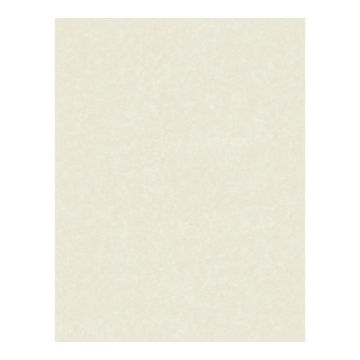 Great Papers! Ivory Faux-Parchment Certificate Paper for Diplomas, Resumes and Awards, Printer Friendly, 8.5” x 11”, 80 GSM, 50 Count (2014030)
