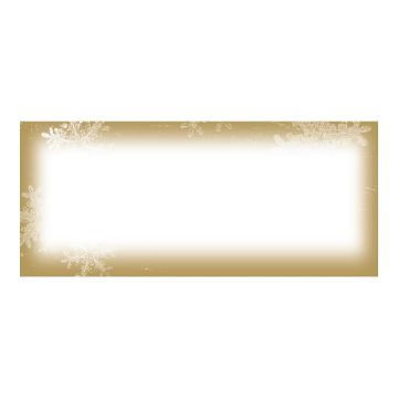 Great Papers! Coordinating Envelope, #10, Frosted Holiday Wishes, 9.5" x 4.125", 50 count (2011608)