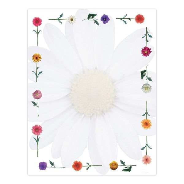 Great Papers! Daisies Letterhead, for Classrooms, Invitations and Personal Messages, Printer Friendly 8.5” x 11” (2013178)